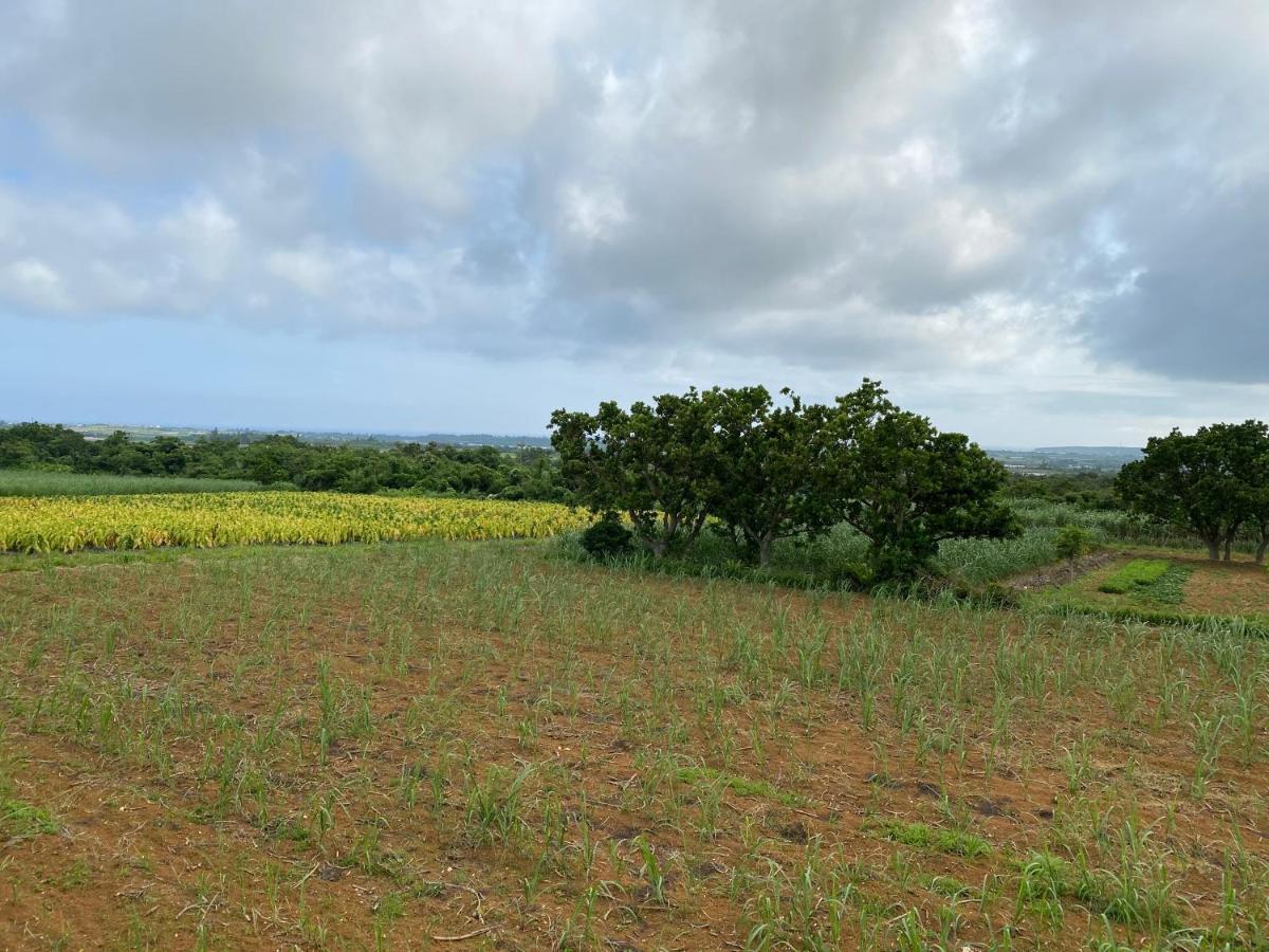 スターハウス宮古島 Miyakojima (Okinawa) Exterior photo